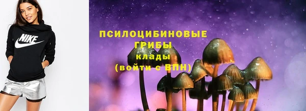 мет Осинники