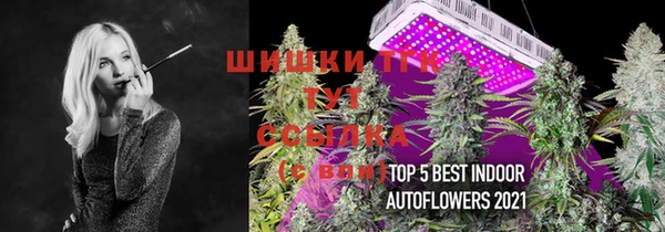 тгк Абинск