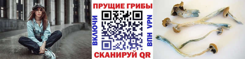 Галлюциногенные грибы MAGIC MUSHROOMS  как найти закладки  MEGA как зайти  Сафоново 