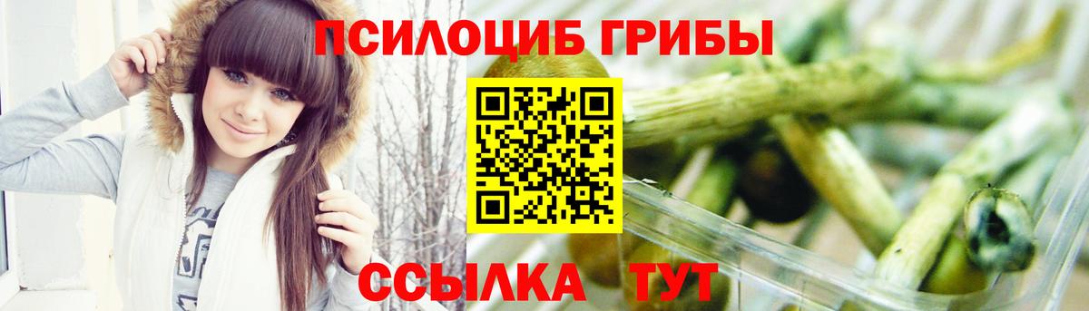 Псилоцибиновые грибы прущие грибы  Вход с VPN  Сафоново 